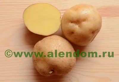 Картофель Метеор, 5 кг, Элита