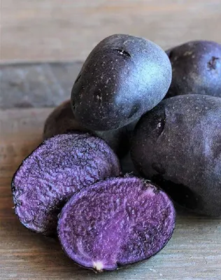 Картофель семенной Метеор (репродукция элита), 0,5 кг. | Дачная Коллекция