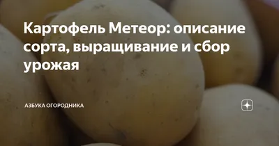 Поступление семенного картофеля! Киров - Магазин Садовник