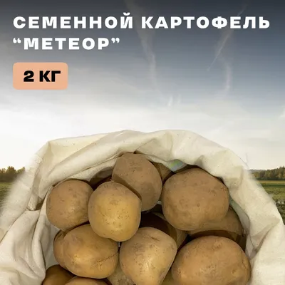 Самые популярные премиум-сорта картофеля