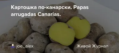 Популярные сорта картофеля для посадки в Украине — интернет магазин товаров  для сада и огорода Лето 🌿