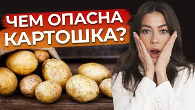 Мягкая и твердая черная гниль картофеля - 03.04.2023 - Новости - ООО ТД  Кирово-Чепецкая Химическая Компания