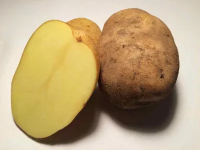 Фиолетовый картофель