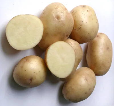 Элитный семенной картофель Невский репродукция супер суперэлита | Питомник  ВАСХНиЛ