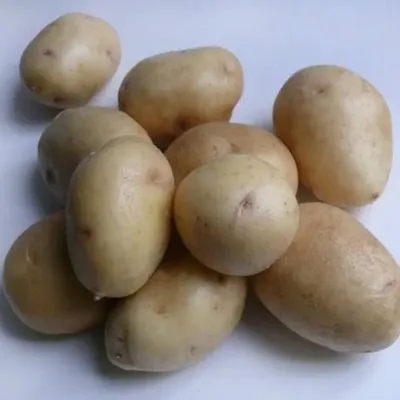 Картофель семенной Невский (1кг/уп - репродукция сэлита, средне-ранний)  купить за 190 р. в садовом центре АСТ Медовое