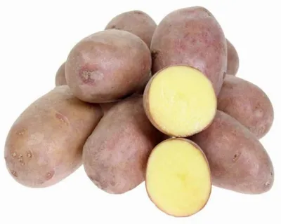 Картошка-картошечка. Появился молодой картофель. Готовлю ежедневно |  Волшебная еда | Дзен