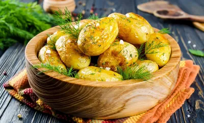Продам картофель красный сорт Палац, Киевская обл — Agro-Ukraine