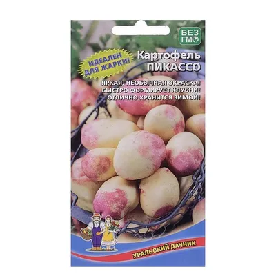Где можно купить семенной картофель и стоит ли это делать до зимы?