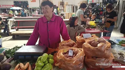 Картофель ранний посадочный: Киранда, Сенсация, Черный барон, Киви, Щедрик,  Галактика и др. - Дом и сад, Рассада в Новгороде-Северском на BAZAR.ua