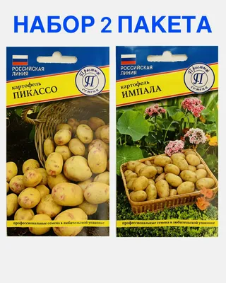 Семена Картофель Пароли за 1кг купить в Могилеве