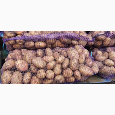 В Челябинской области придумали новый жаростойкий сорт картофеля |  Pchela.news - Новости в Челябинске