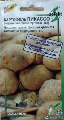 Семена картофеля Пикассо (0.02гр.) Уральский Дачник 28356616 купить в  интернет-магазине Wildberries