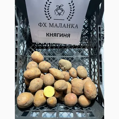 Картофель от Papas