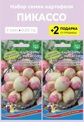 Продаем семенной картофель Ривьера, Бела Роса, Гранада, Пикассо и др - В  наличии 20 сортов — Agro-Ukraine