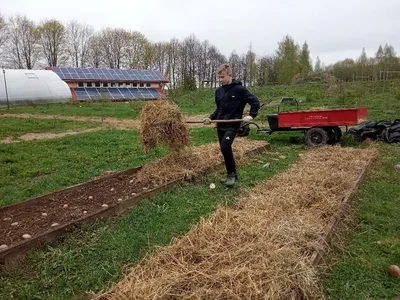 Жителям Оренбургской области не рекомендуют сажать картошку раньше мая -  Газета \"Оренбуржье\"