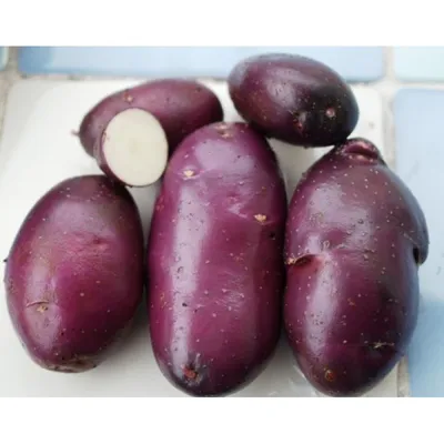 https://omsk.leroymerlin.ru/product/kartofel-semennoy-red-skarlet-elita-2-kg-83701037/