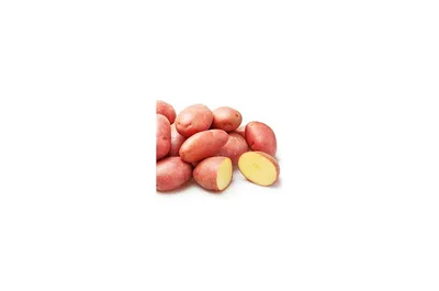 Продажа - Картофель Ред Скарлет (5+)