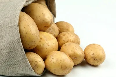Картофель Беллароза - ультраскороспелый сорт | Картофель, Севооборот, Ягоды