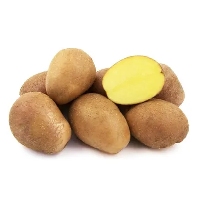 Семенной селекционный картофель родриго Суперэлита 5 кг, цена 1690 руб.  купить в Перми