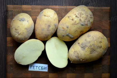 Клубни картофеля «Рокко»(2-я репродукция), ТМ OGOROD - 1 кг купить недорого  в интернет-магазине семян OGOROD.ua