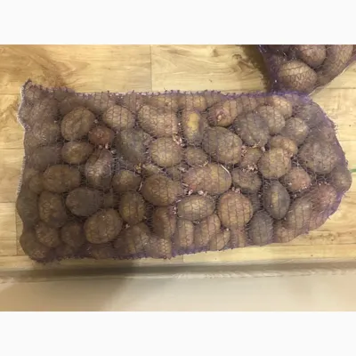 Семена Картофеля Рокко – купить в интернет-магазине OZON по низкой цене