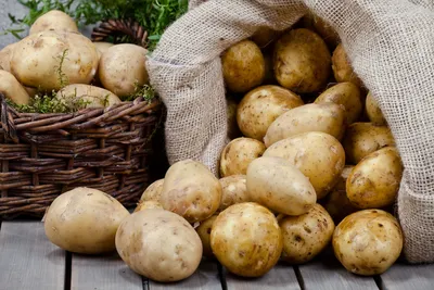 Как сохранить урожай картофеля до весны без потерь - Рамблер/новости