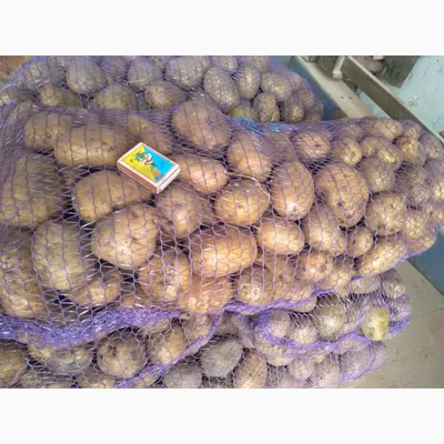 Продаю продовольственный картофель сорт Рокко, Республика Северная  Осетия-Алания — Agro-Russia