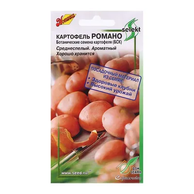 Продам средний картофель сорта Романо , Чернигов: Картофель на Agronet