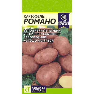 Семенной картофель Романо (2-я репродукция) купить в ярославле