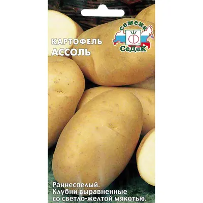 Продам Картофель, сорт Романо, Калибр 5+, сетка 20 кг, отличного качества —  Agro-Ukraine