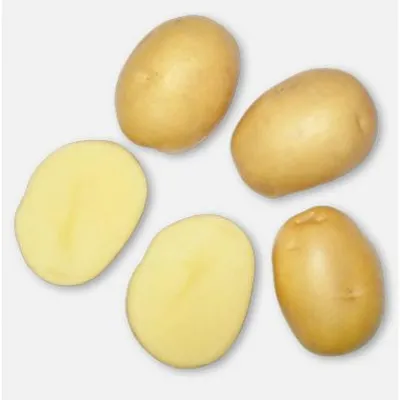 3 лучших сорта картофеля раннего созревания голландской селекции. Почему я  люблю голландский картофель | О Фазенде. Загородная жизнь | Дзен