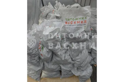 Картофель сорт Розара калибр 5+ крупный и мелкий опт от производителя НСО  село Быково | ООО Лукоморье