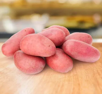 Продукция