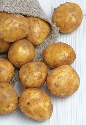 Семена картофеля Юлия купить в Могилеве