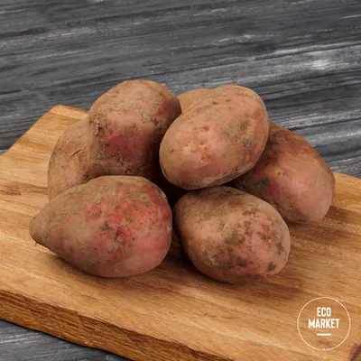 https://omsk.leroymerlin.ru/product/kartofel-semennoy-red-skarlet-elita-2-kg-83701037/