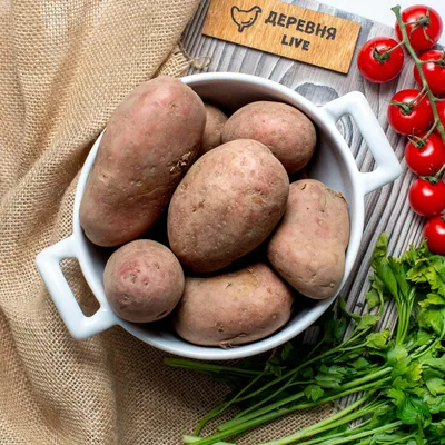 Продажа - Картофель Ред Скарлет (5+)