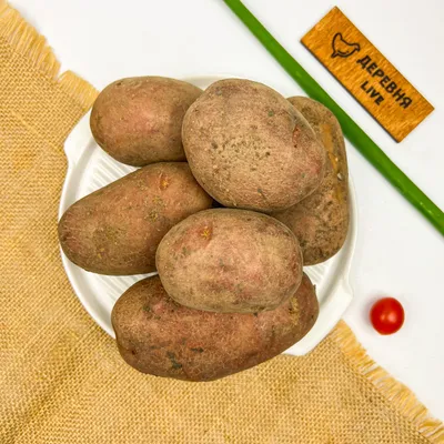 Картофель \"Ред Скарлет\" семенной ранний (1 репродукция) 10кг купить почтой  в Одессе, Киеве, Украине | Agro-Market