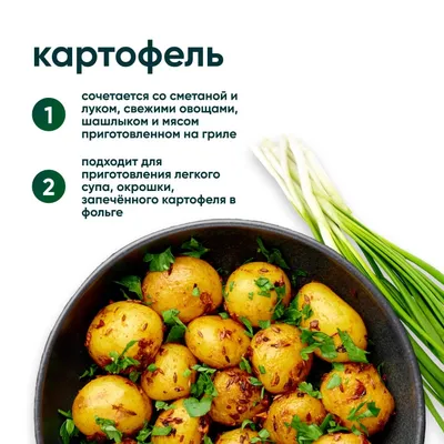 Советы астраханцам: кольцевая гниль в картофеле | Газета ВОЛГА