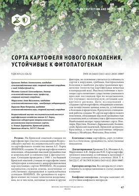 Картофель Любава: характеристика сорта, отзывы, вкусовые качества, фото