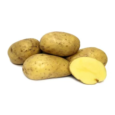 Семенной картофель Статьи садовнику