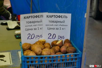 Регуляторы роста для картофеля в Сибири – тема научной статьи по сельскому  хозяйству, лесному хозяйству, рыбному хозяйству читайте бесплатно текст  научно-исследовательской работы в электронной библиотеке КиберЛенинка