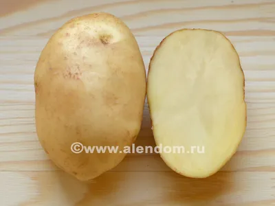 НЕ МОГЛА ПОДУМАТЬ, что КАРТОФЕЛЬ может быть ТАКИМ ВКУСНЫМ! Нашла СУПЕР  УРОЖАЙНЫЙ и ВКУСНЫЙ сорт - YouTube