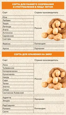 РАННИЕ СОРТА КАРТОФЕЛЯ ИЛИ КАК ПОЛУЧИТЬ РАННИИЙ УРОЖАЙ - YouTube