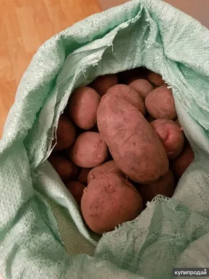 Сетка-мешок - для картофеля лучшая упаковка