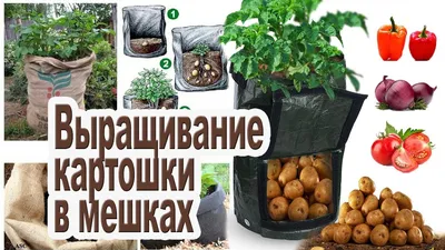 Мешок картошки купит в Fruitonline