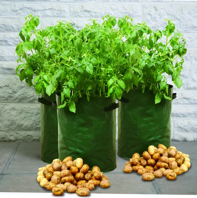 Сетка для картофеля - купить в Москве, сетка-мешок для картофеля - цена от  производителя Новый Век Агротехнологий