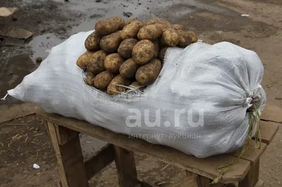 Картофель в мешках и в деревянной коробке на поле Стоковое Фото -  изображение насчитывающей хлебоуборка, естественно: 158153522