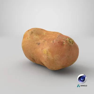 Фиолетовый картофель 01 готовая игра 3D Модель $29 - .c4d .max .fbx .ma  .obj - Free3D