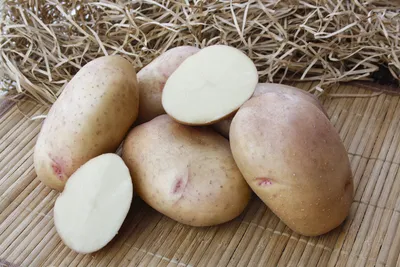 Купить картофель семенной жуковский ранний (2 кг) по цене 350 руб. в  интернет магазине \"Первые Семена\"