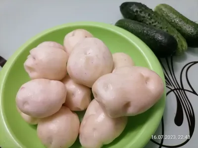 Семенной картофель Жуковский (3-я репродукция) купить в ярославле